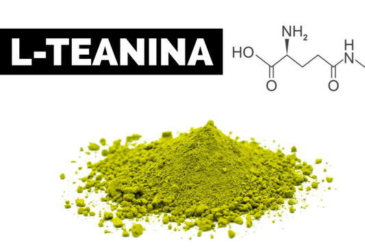 Beneficios de L-Teanina: Aminoacido Potenciador del Bienestar de Matcha